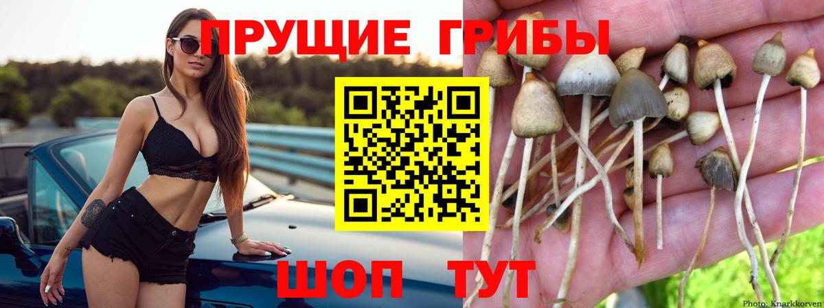 Лысьва  Галлюциногенные грибы мухоморы  Вход с VPN  Псилоцибиновые грибы мухоморы 