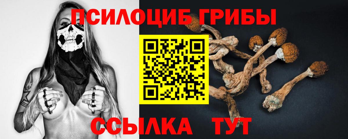 Псилоцибиновые грибы прущие грибы Лысьва